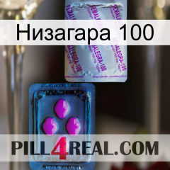 Низагара 100 37